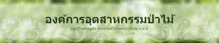 ฝ่ายทรัพยากรมนุษย์