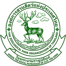 https://fio.co.th/upload/agif/pictures/pic-456719963.png