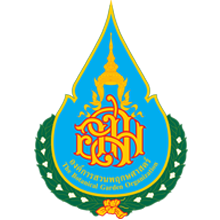 https://fio.co.th/upload/agif/pictures/pic-811652774.png
