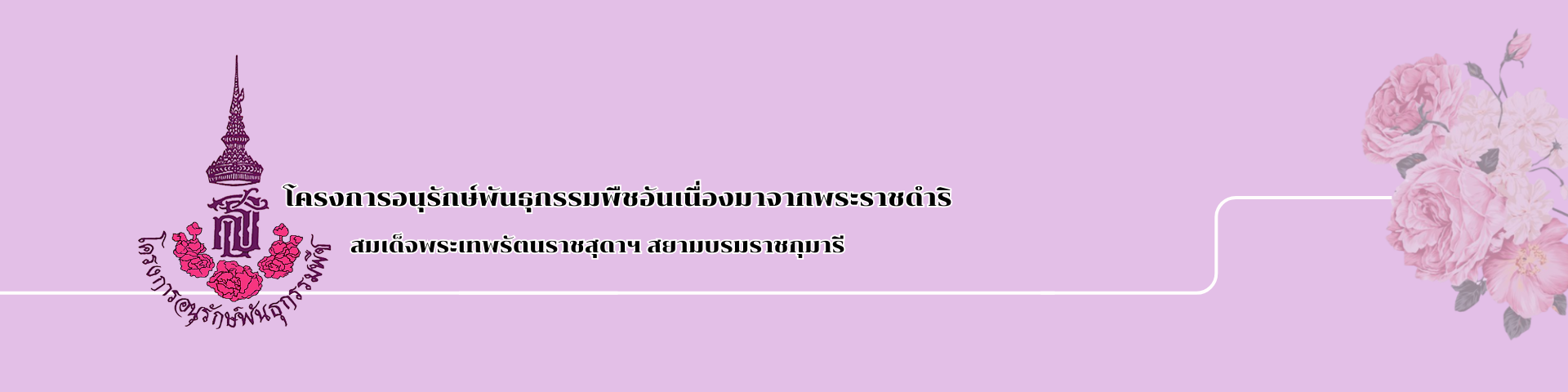 โครงการอนุรักษ์พันธุกรรมพืช
