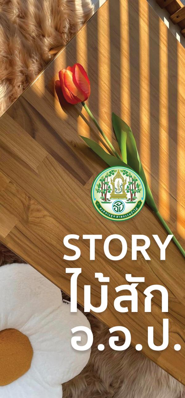 STORY ไม้สัก อ.อ.ป.