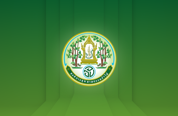 https://fio.co.th/upload/nopic/pictures/pic-1-202513021739419446324815973.png