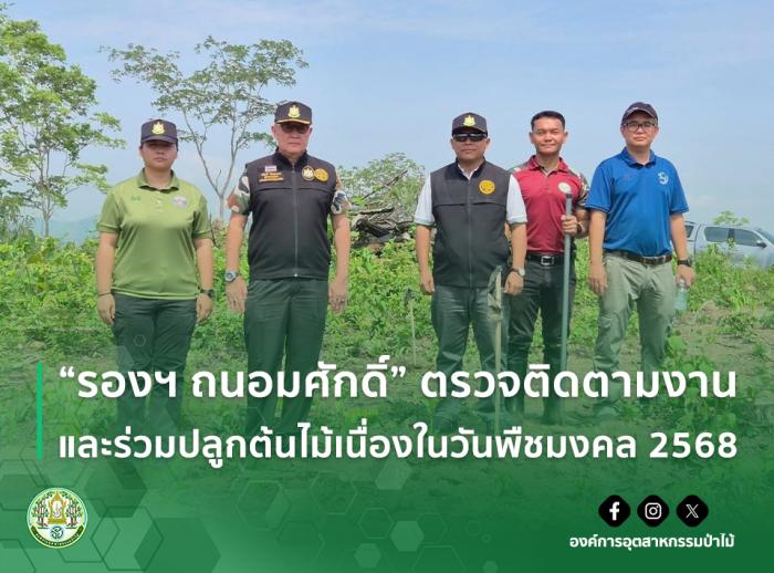 https://fio.co.th/upload/nw/pictures/pic-161228294.jpg