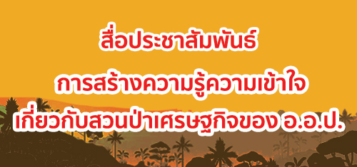 https://fio.co.th/upload/nw/pictures/pic-1778-202520031742462553639372579.jpg