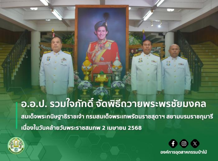 https://fio.co.th/upload/nw/pictures/pic-344736922.jpg