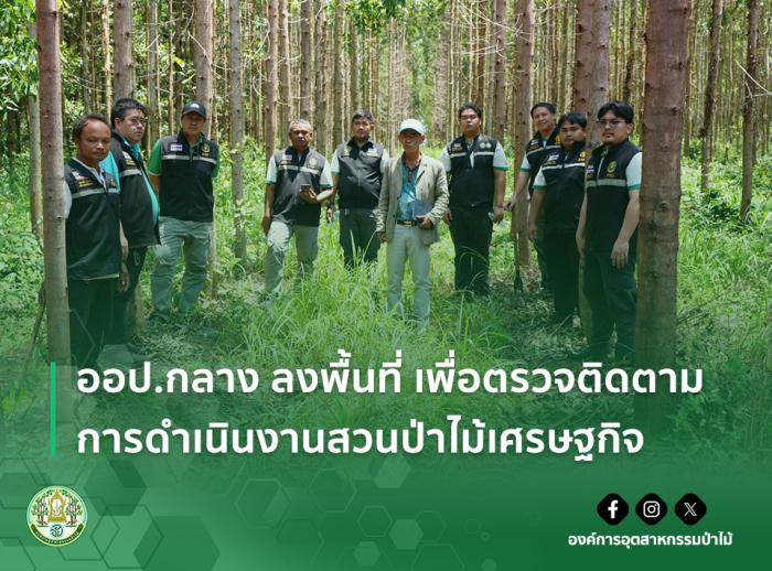 https://fio.co.th/upload/nw/pictures/pic-573613386.jpg